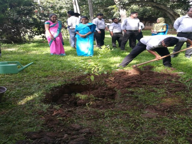Commencement of Work & Special Sandalwood Tree Planting – 2020